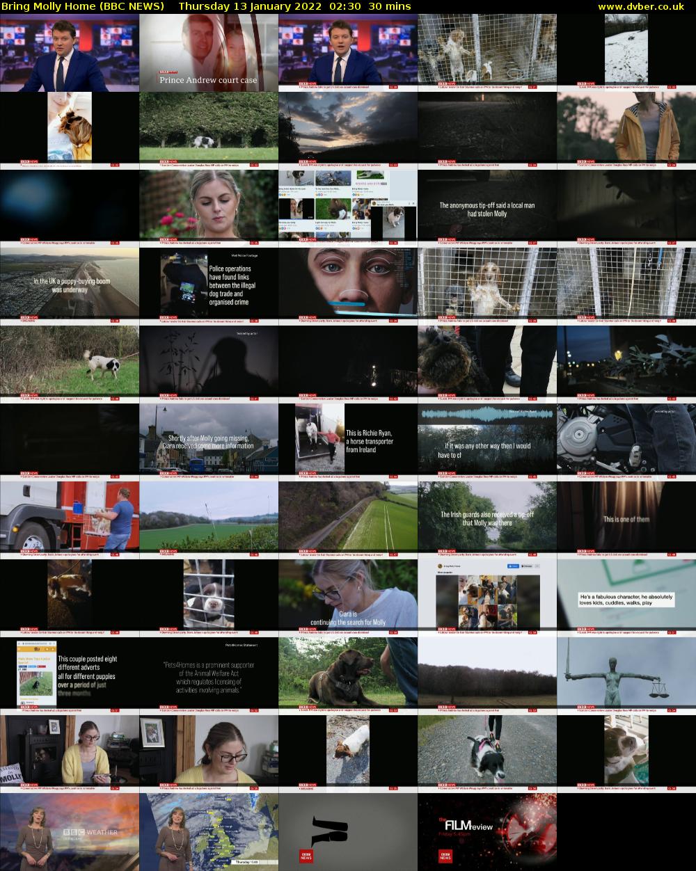 Bring Molly Home (BBC NEWS) Thursday 13 January 2022 02:30 - 03:00