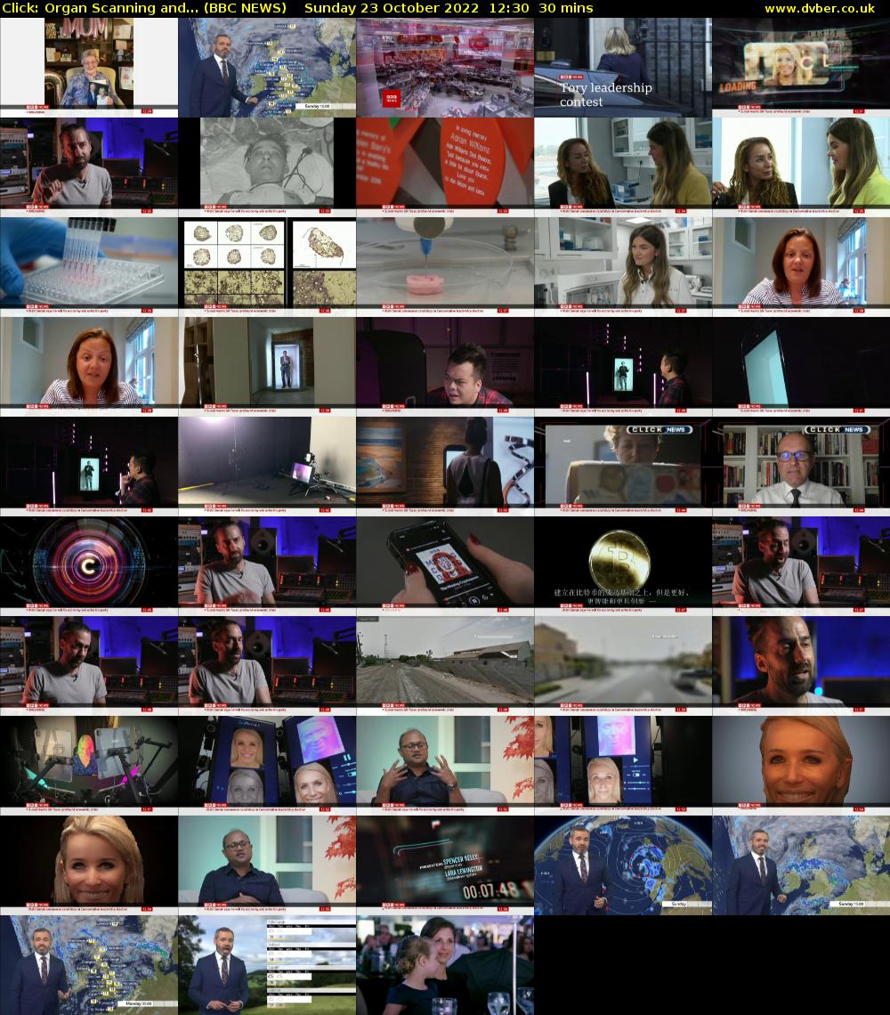 Click: Organ Scanning and... (BBC NEWS) Sunday 23 October 2022 12:30 - 13:00