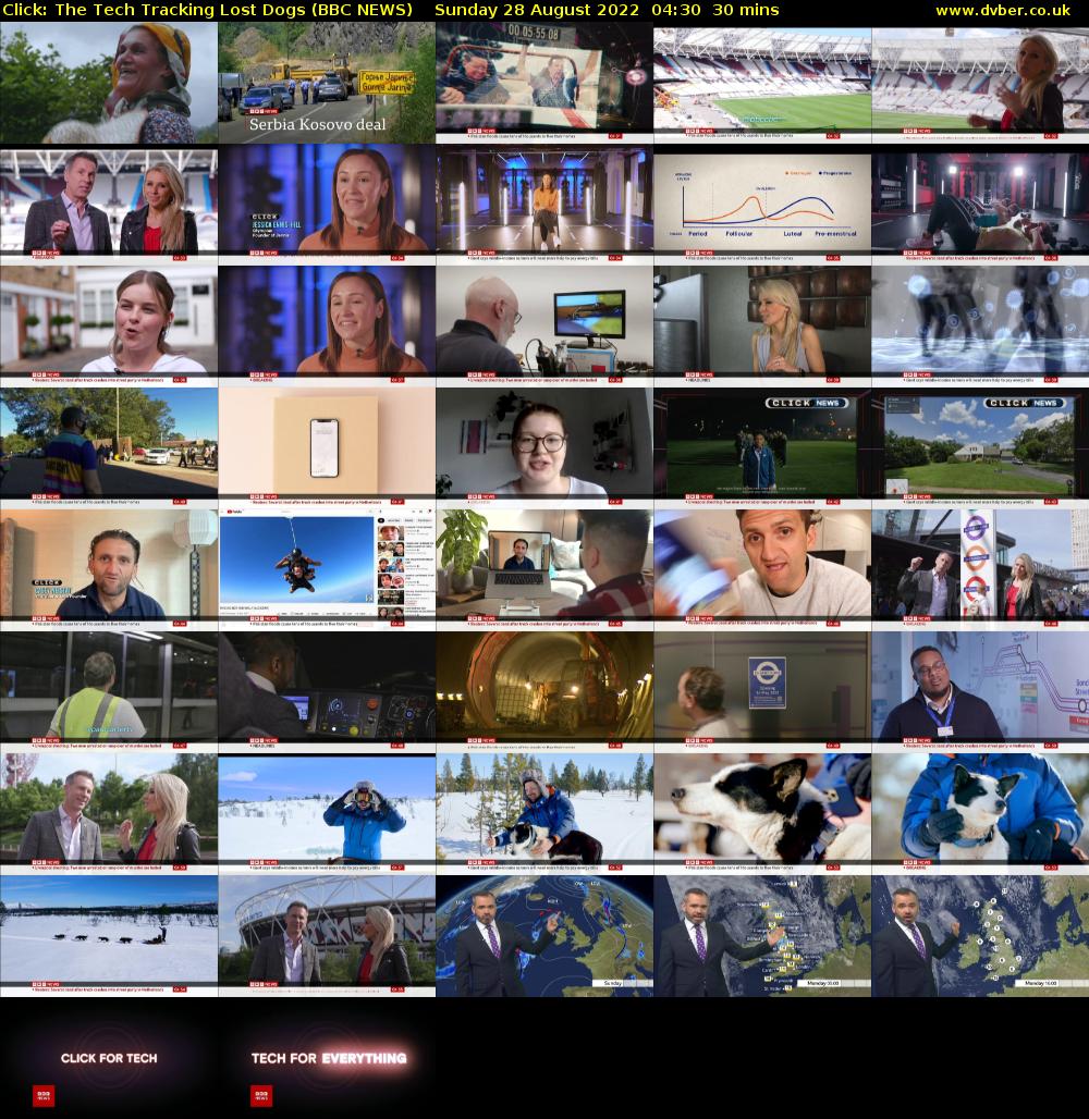 Click: The Tech Tracking Lost Dogs (BBC NEWS) Sunday 28 August 2022 04:30 - 05:00