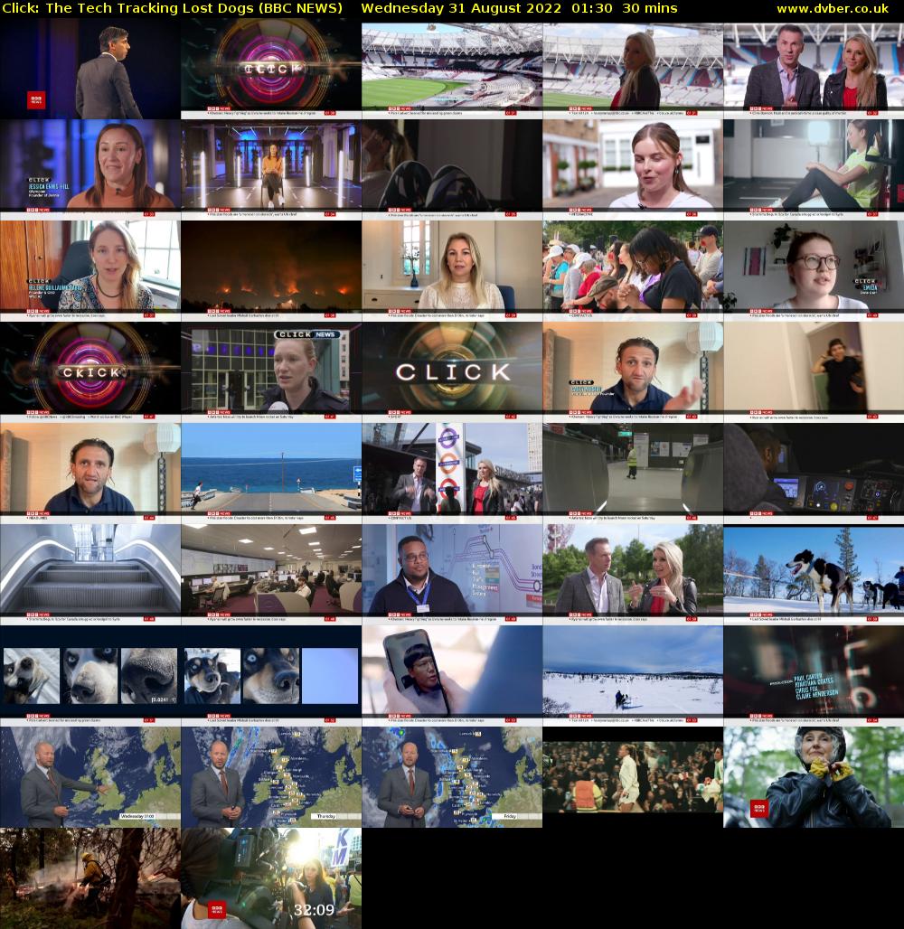 Click: The Tech Tracking Lost Dogs (BBC NEWS) Wednesday 31 August 2022 01:30 - 02:00