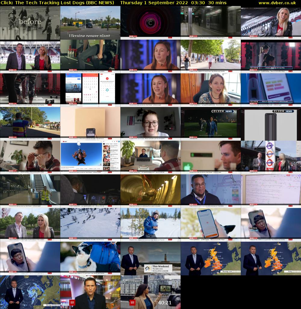 Click: The Tech Tracking Lost Dogs (BBC NEWS) Thursday 1 September 2022 03:30 - 04:00