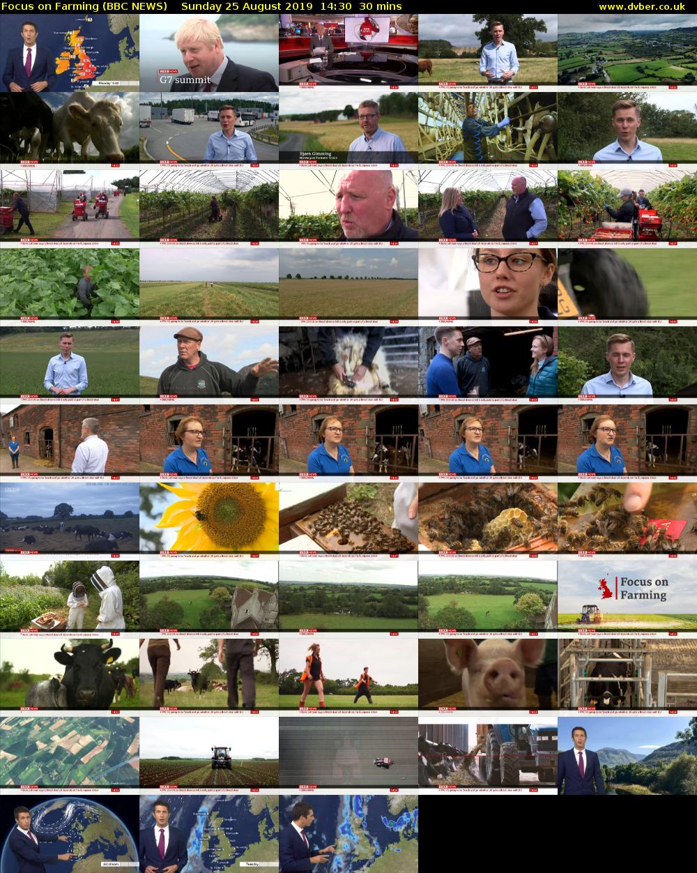 Focus on Farming (BBC NEWS) Sunday 25 August 2019 14:30 - 15:00