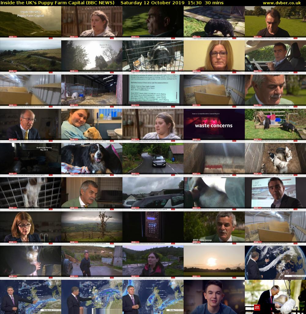 Inside the UK's Puppy Farm Capital (BBC NEWS) Saturday 12 October 2019 15:30 - 16:00
