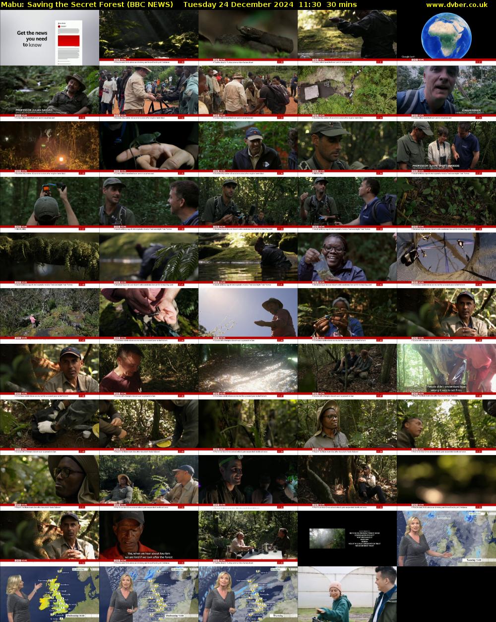 Mabu: Saving the Secret Forest (BBC NEWS) Tuesday 24 December 2024 11:30 - 12:00