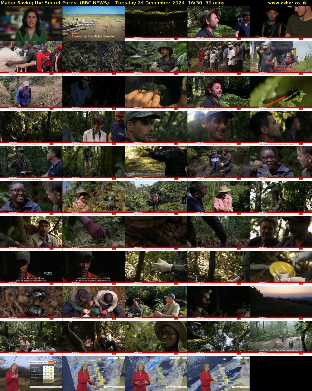 Mabu: Saving the Secret Forest (BBC NEWS) Tuesday 24 December 2024 16:30 - 17:00