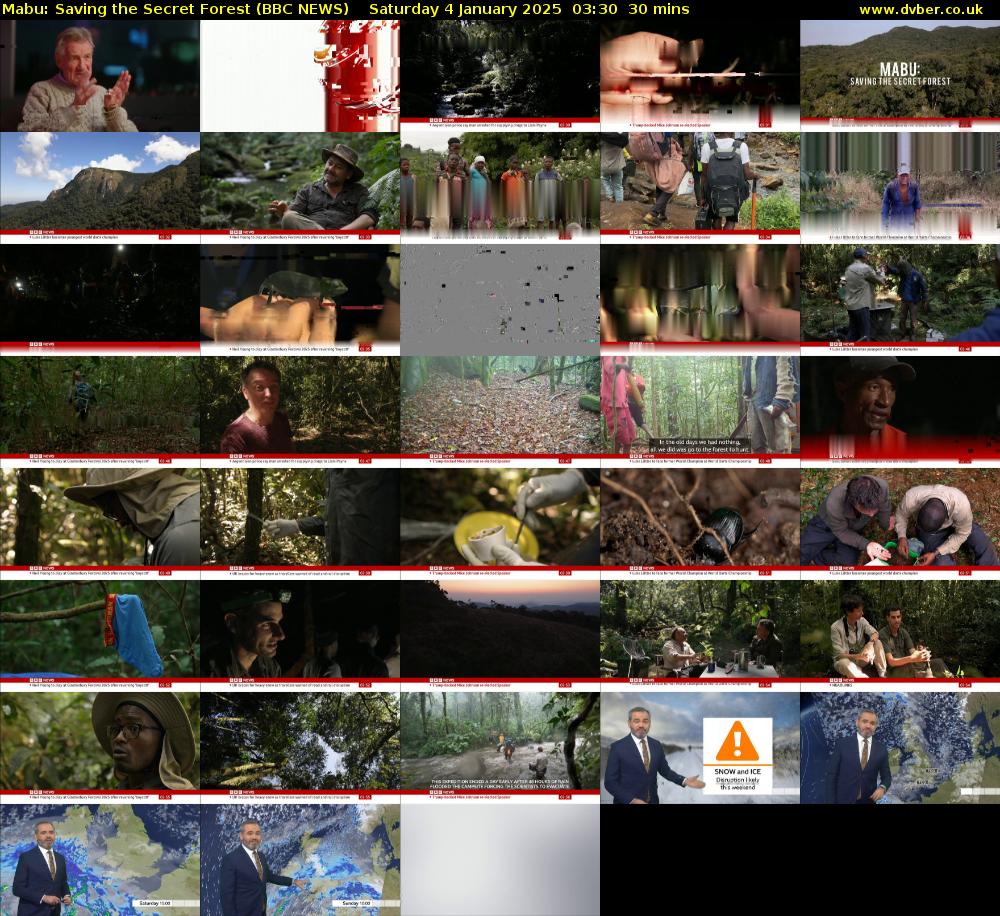 Mabu: Saving the Secret Forest (BBC NEWS) Saturday 4 January 2025 03:30 - 04:00