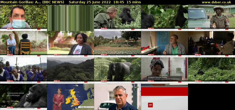 Mountain Gorillas: A... (BBC NEWS) Saturday 25 June 2022 18:45 - 19:00