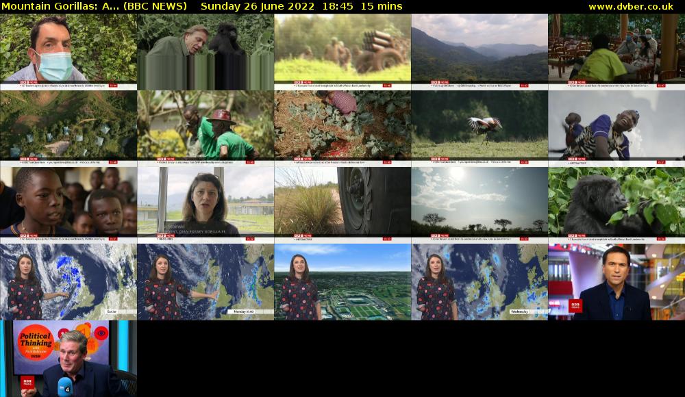 Mountain Gorillas: A... (BBC NEWS) Sunday 26 June 2022 18:45 - 19:00