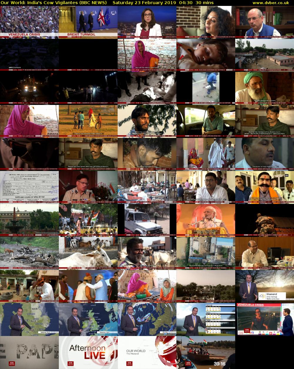 Our World: India's Cow Vigilantes (BBC NEWS) Saturday 23 February 2019 04:30 - 05:00