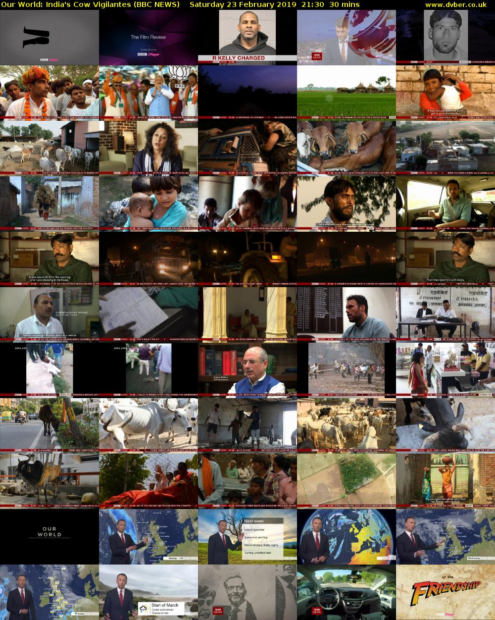 Our World: India's Cow Vigilantes (BBC NEWS) Saturday 23 February 2019 21:30 - 22:00