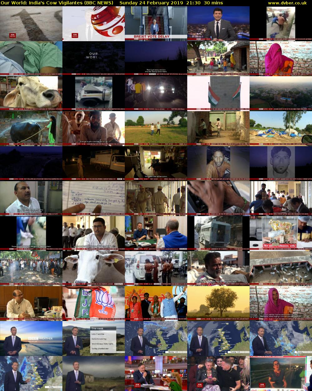 Our World: India's Cow Vigilantes (BBC NEWS) Sunday 24 February 2019 21:30 - 22:00