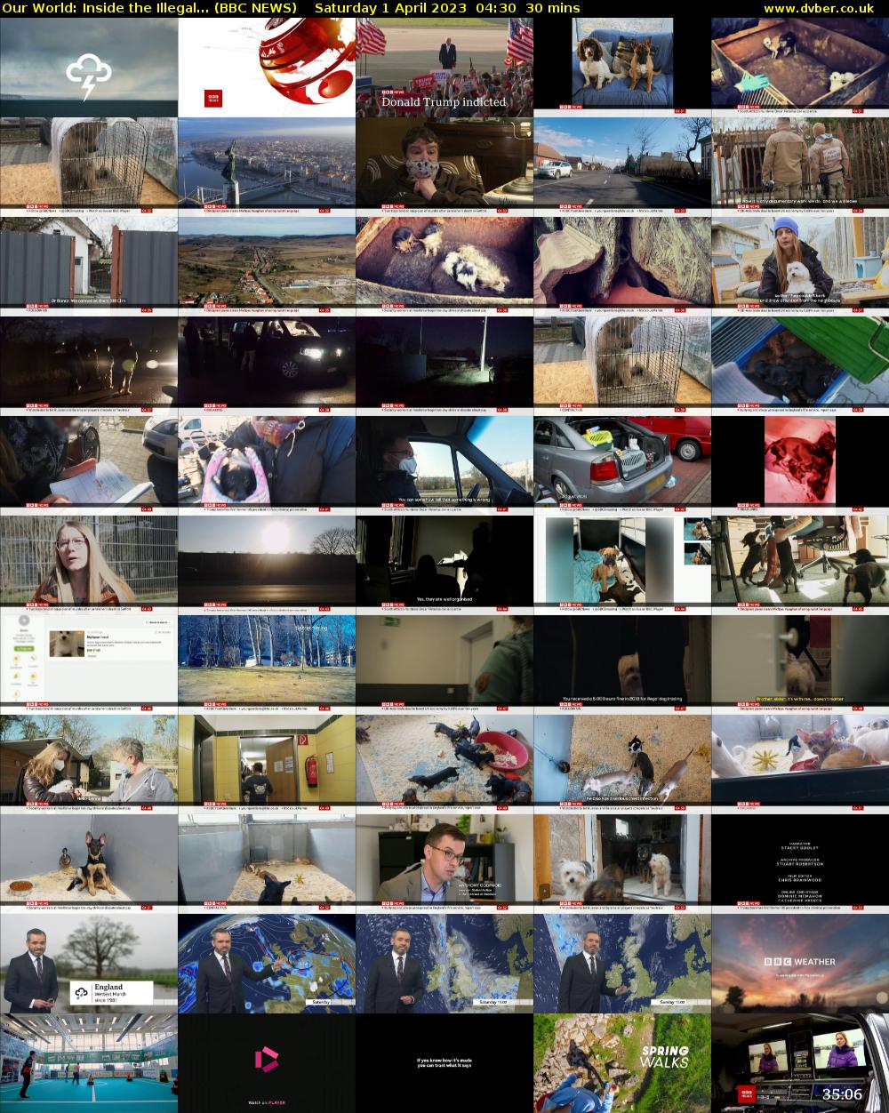 Our World: Inside the Illegal... (BBC NEWS) Saturday 1 April 2023 04:30 - 05:00