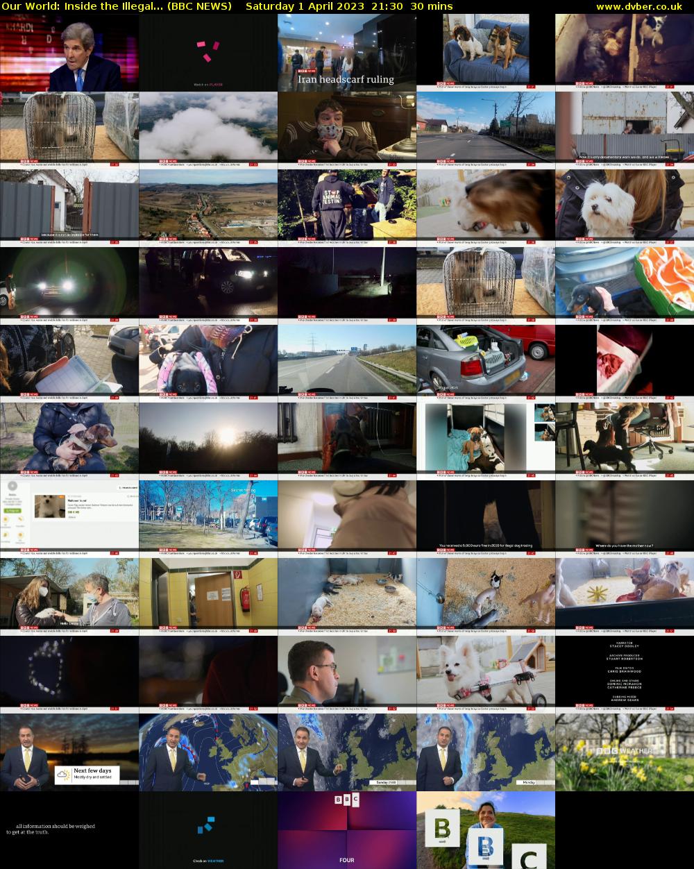 Our World: Inside the Illegal... (BBC NEWS) Saturday 1 April 2023 21:30 - 22:00
