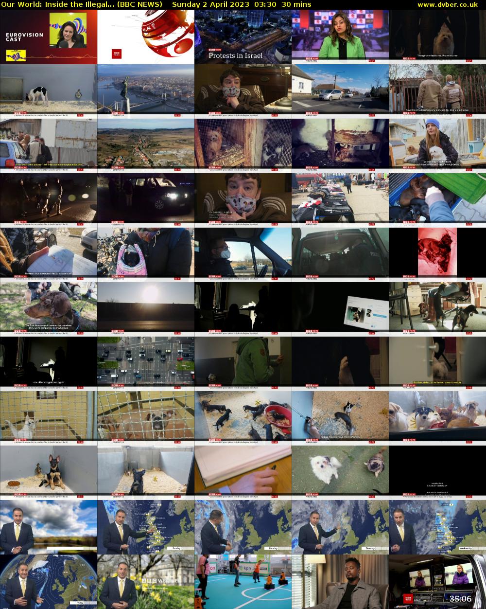 Our World: Inside the Illegal... (BBC NEWS) Sunday 2 April 2023 03:30 - 04:00