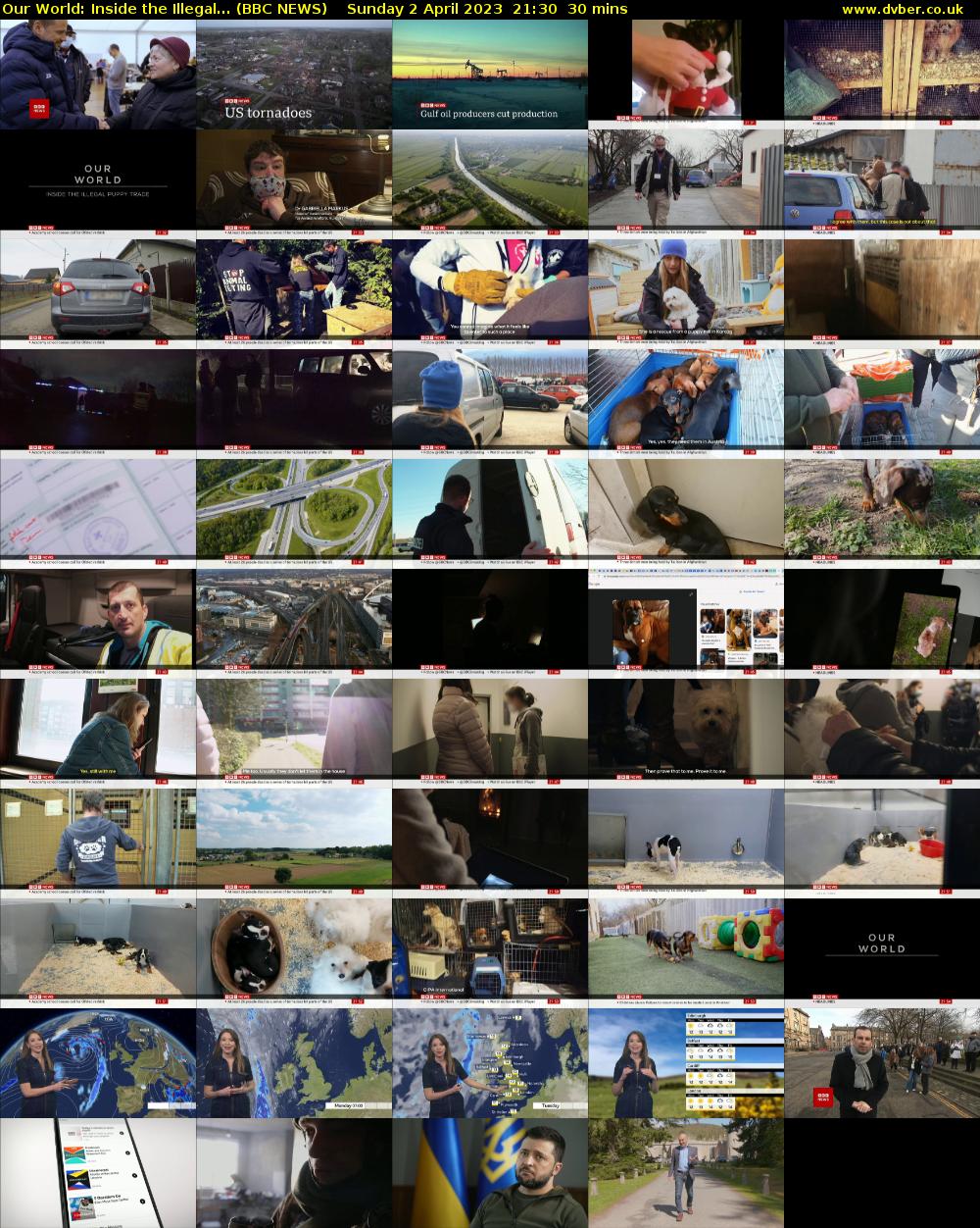 Our World: Inside the Illegal... (BBC NEWS) Sunday 2 April 2023 21:30 - 22:00