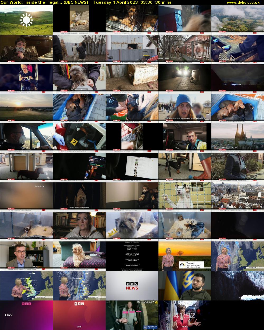 Our World: Inside the Illegal... (BBC NEWS) Tuesday 4 April 2023 03:30 - 04:00