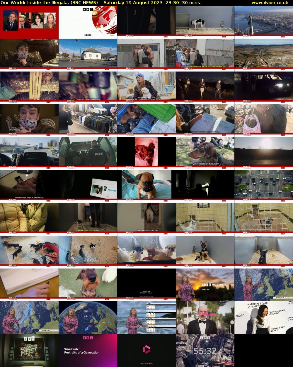 Our World: Inside the Illegal... (BBC NEWS) Saturday 19 August 2023 23:30 - 00:00