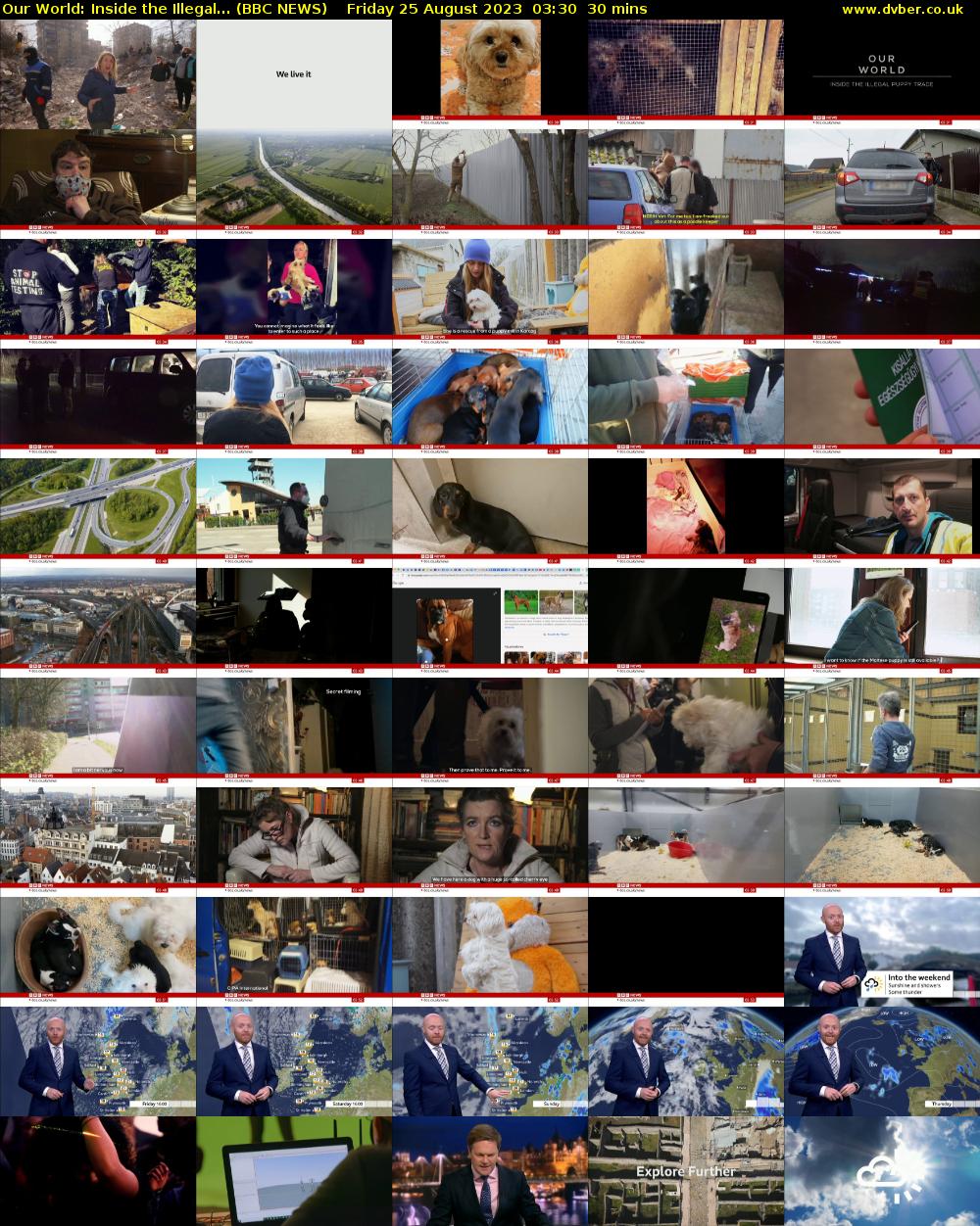 Our World: Inside the Illegal... (BBC NEWS) Friday 25 August 2023 03:30 - 04:00