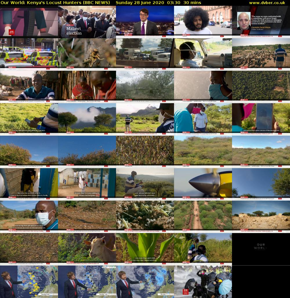 Our World: Kenya's Locust Hunters (BBC NEWS) Sunday 28 June 2020 03:30 - 04:00