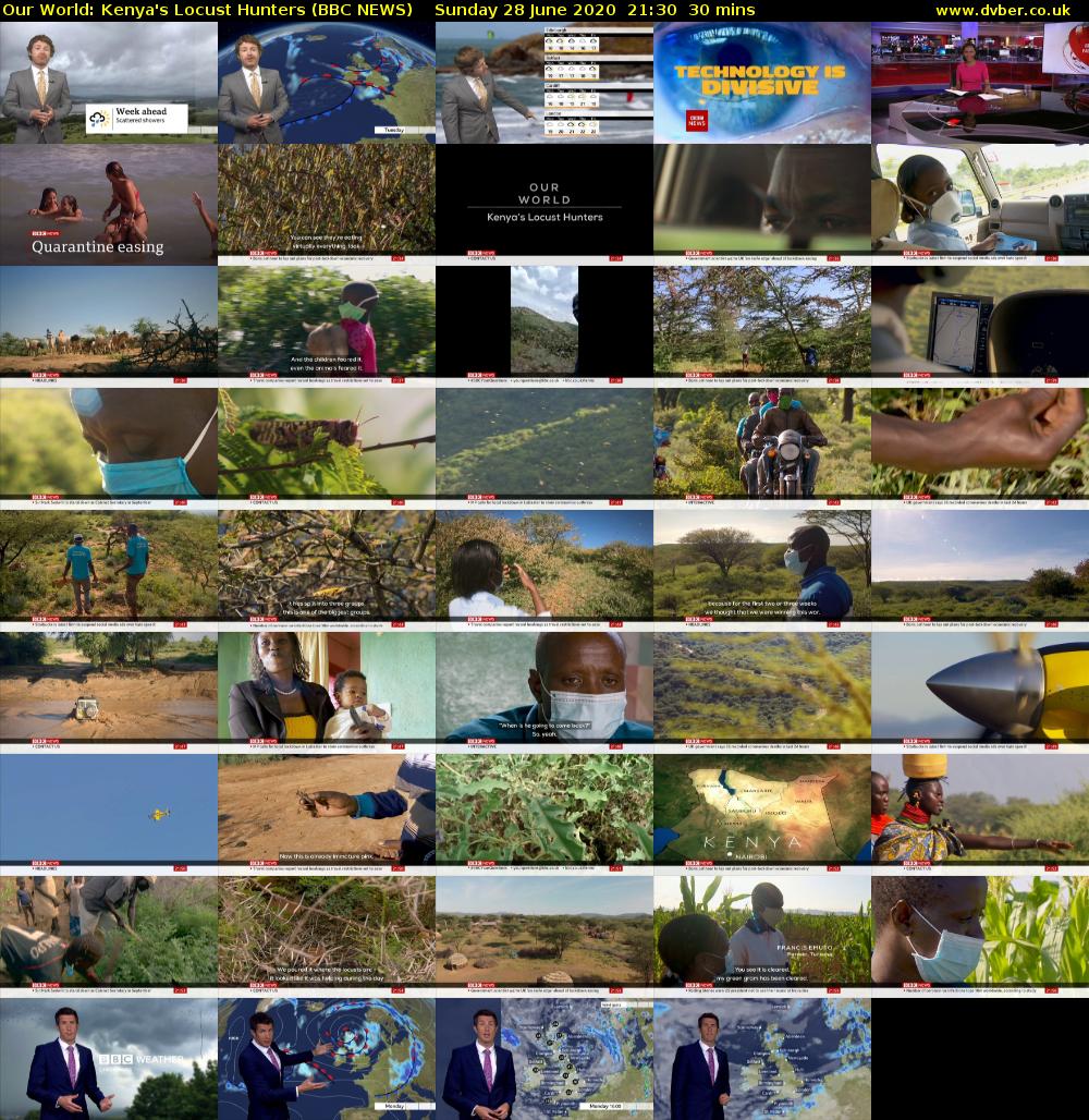 Our World: Kenya's Locust Hunters (BBC NEWS) Sunday 28 June 2020 21:30 - 22:00
