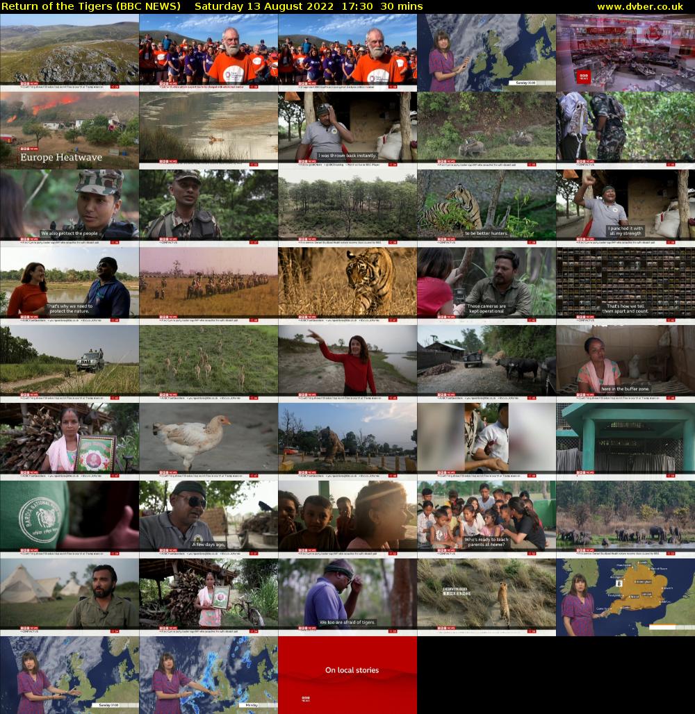 Return of the Tigers (BBC NEWS) Saturday 13 August 2022 17:30 - 18:00
