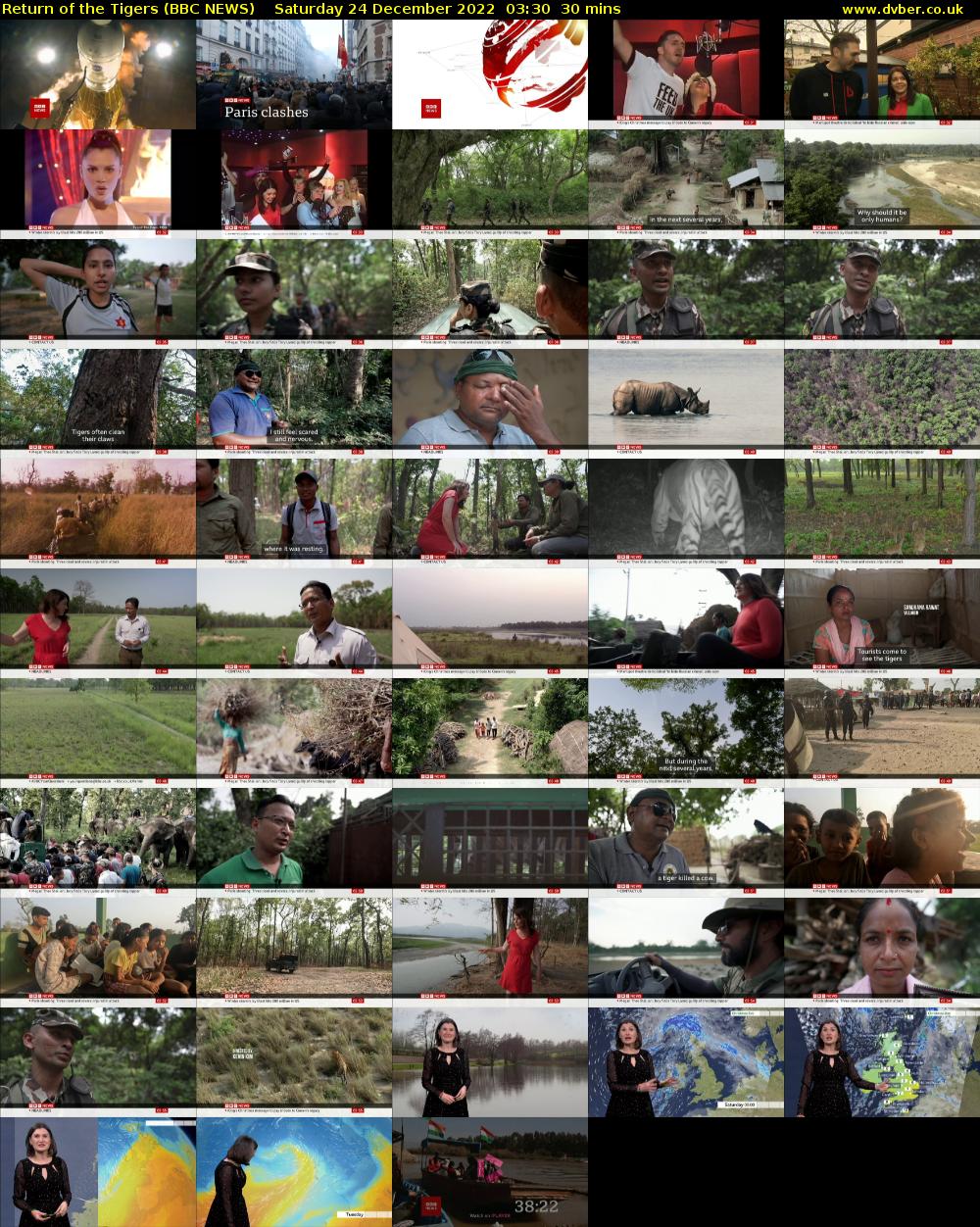 Return of the Tigers (BBC NEWS) Saturday 24 December 2022 03:30 - 04:00