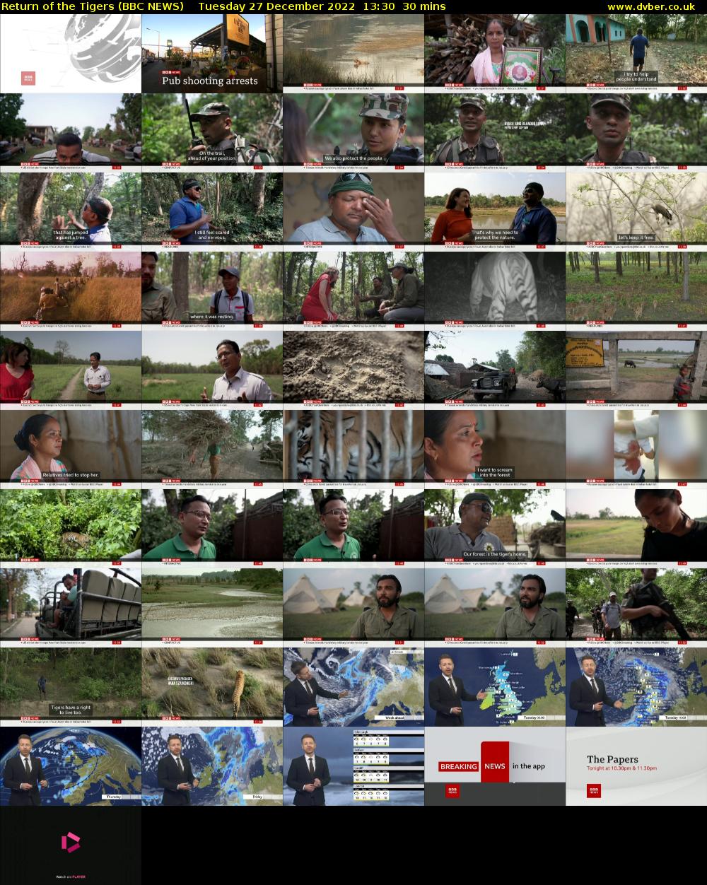 Return of the Tigers (BBC NEWS) Tuesday 27 December 2022 13:30 - 14:00