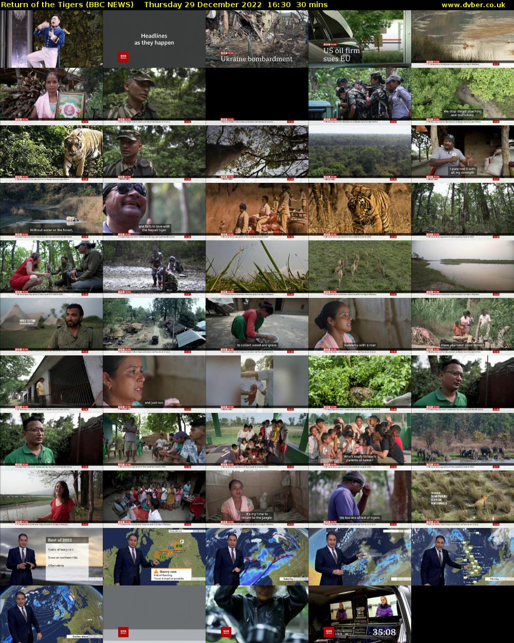 Return of the Tigers (BBC NEWS) Thursday 29 December 2022 16:30 - 17:00