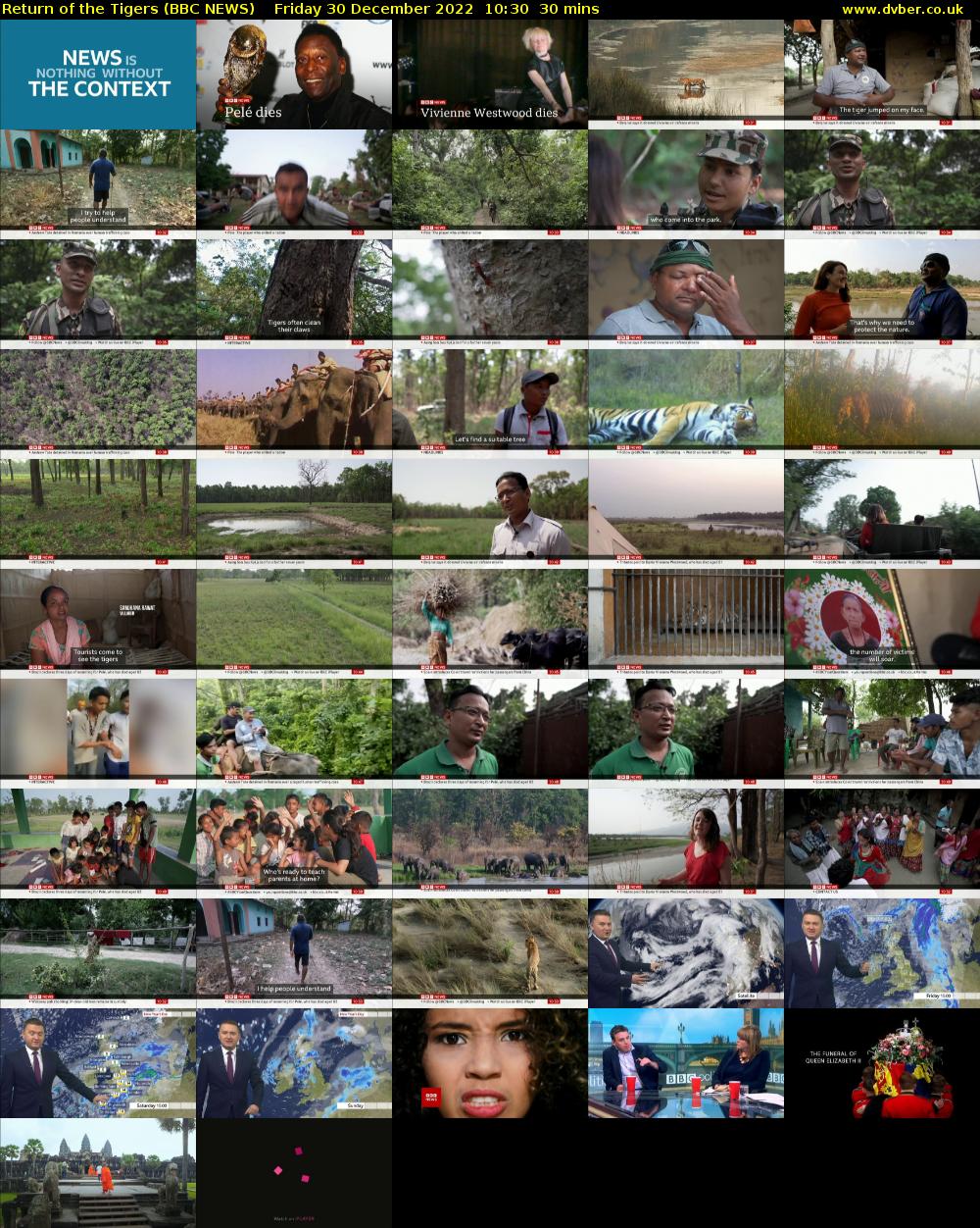 Return of the Tigers (BBC NEWS) Friday 30 December 2022 10:30 - 11:00