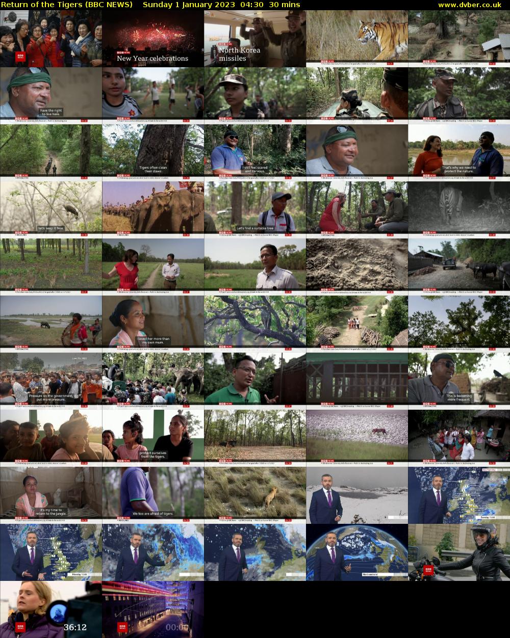 Return of the Tigers (BBC NEWS) Sunday 1 January 2023 04:30 - 05:00
