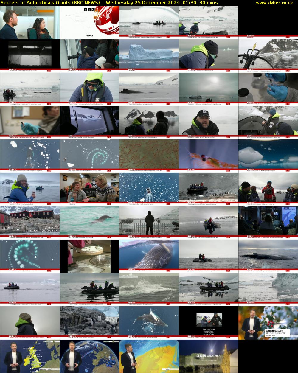 Secrets of Antarctica's Giants (BBC NEWS) Wednesday 25 December 2024 01:30 - 02:00