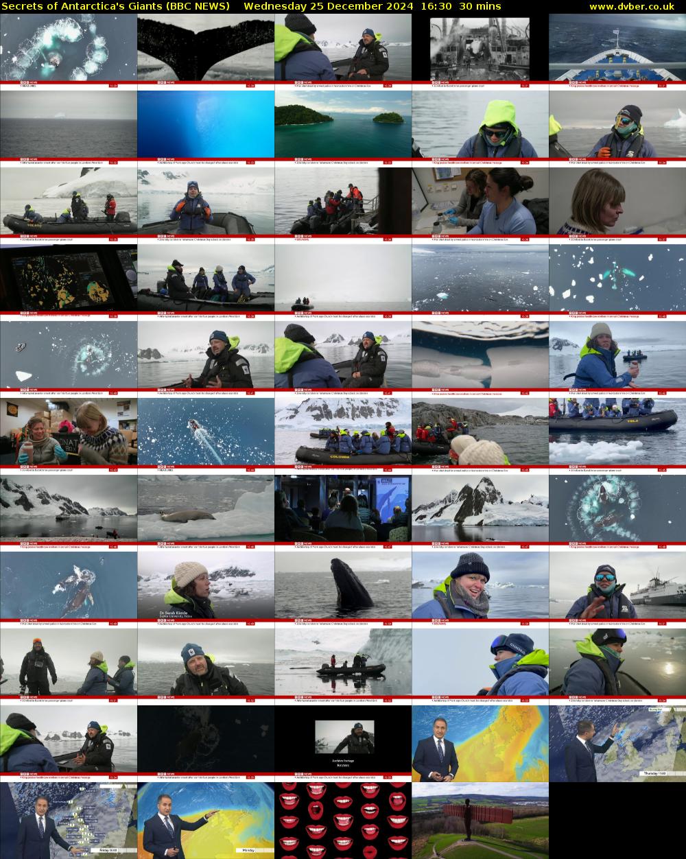 Secrets of Antarctica's Giants (BBC NEWS) Wednesday 25 December 2024 16:30 - 17:00