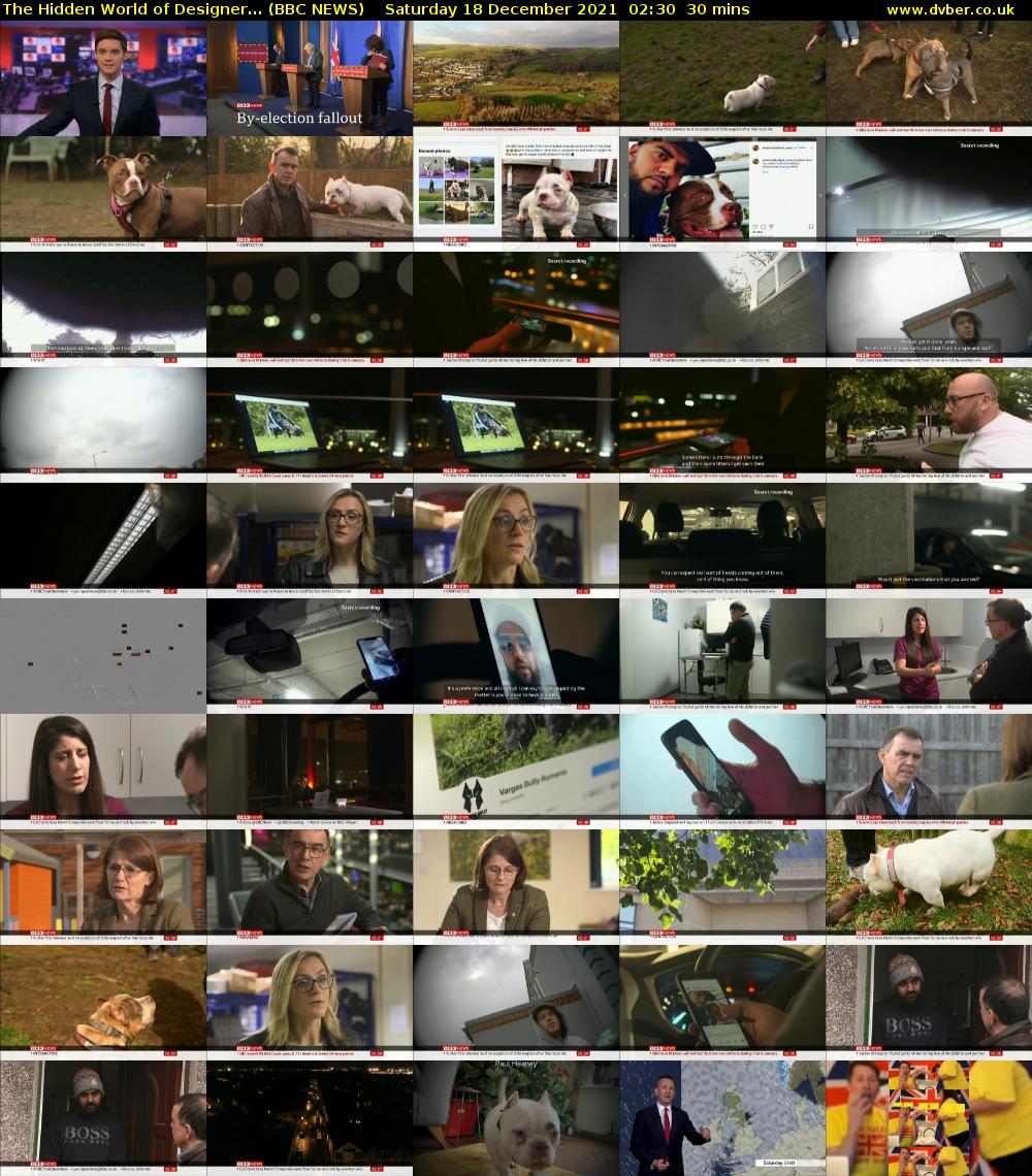 The Hidden World of Designer... (BBC NEWS) Saturday 18 December 2021 02:30 - 03:00