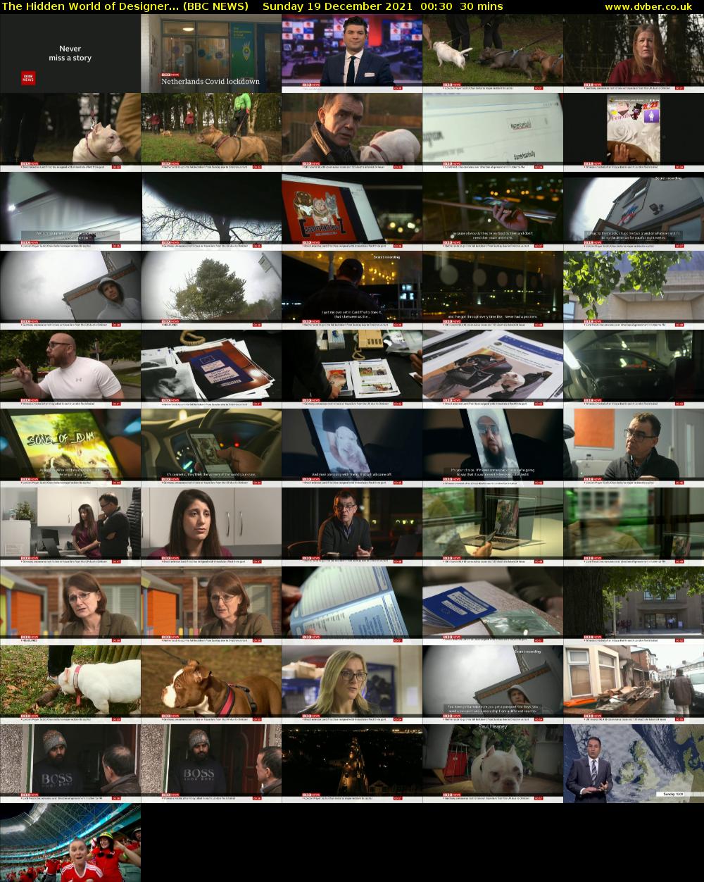 The Hidden World of Designer... (BBC NEWS) Sunday 19 December 2021 00:30 - 01:00