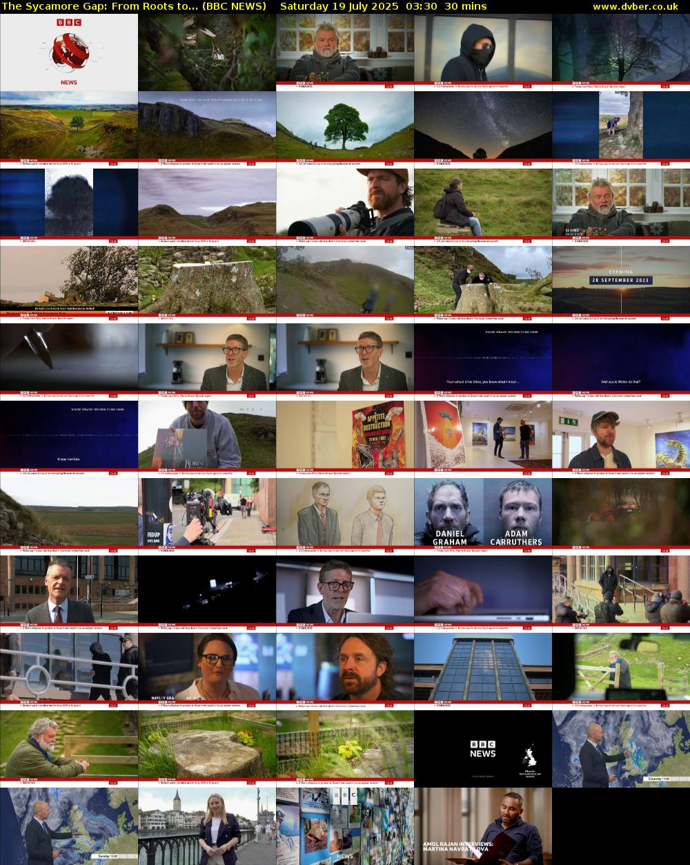 The Sycamore Gap: From Roots to... (BBC NEWS) Saturday 19 July 2025 03:30 - 04:00