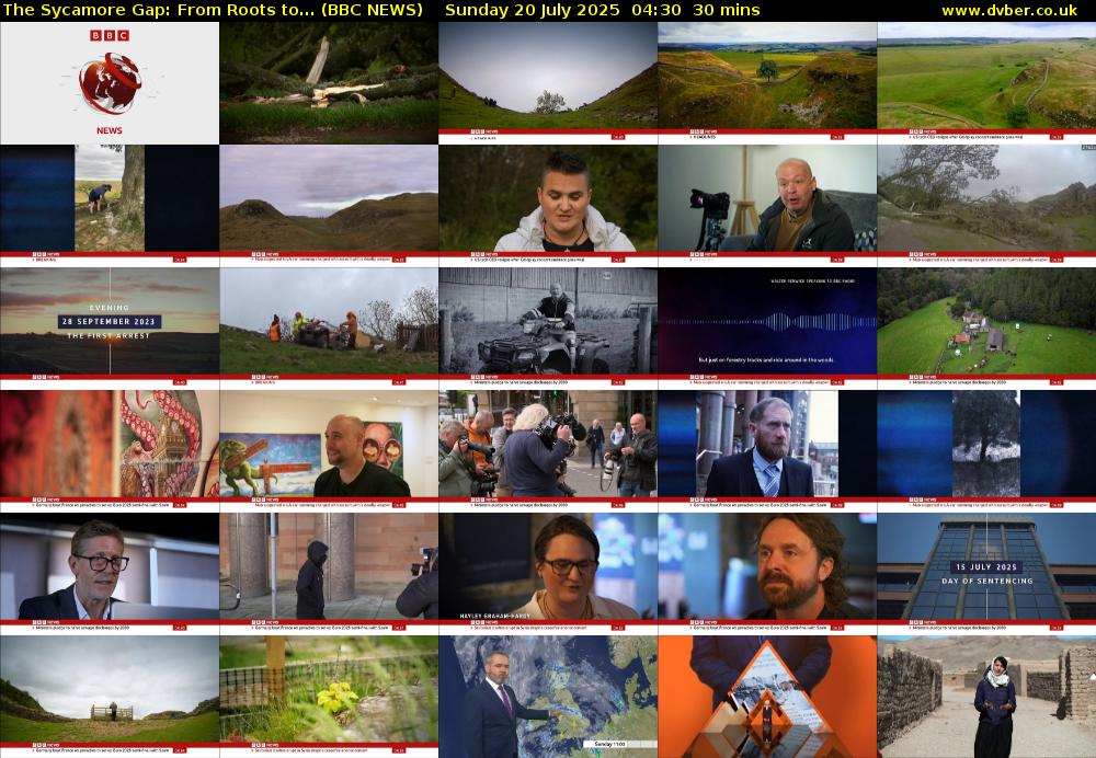 The Sycamore Gap: From Roots to... (BBC NEWS) Sunday 20 July 2025 04:30 - 05:00