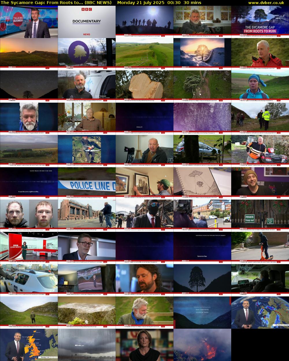 The Sycamore Gap: From Roots to... (BBC NEWS) Monday 21 July 2025 00:30 - 01:00