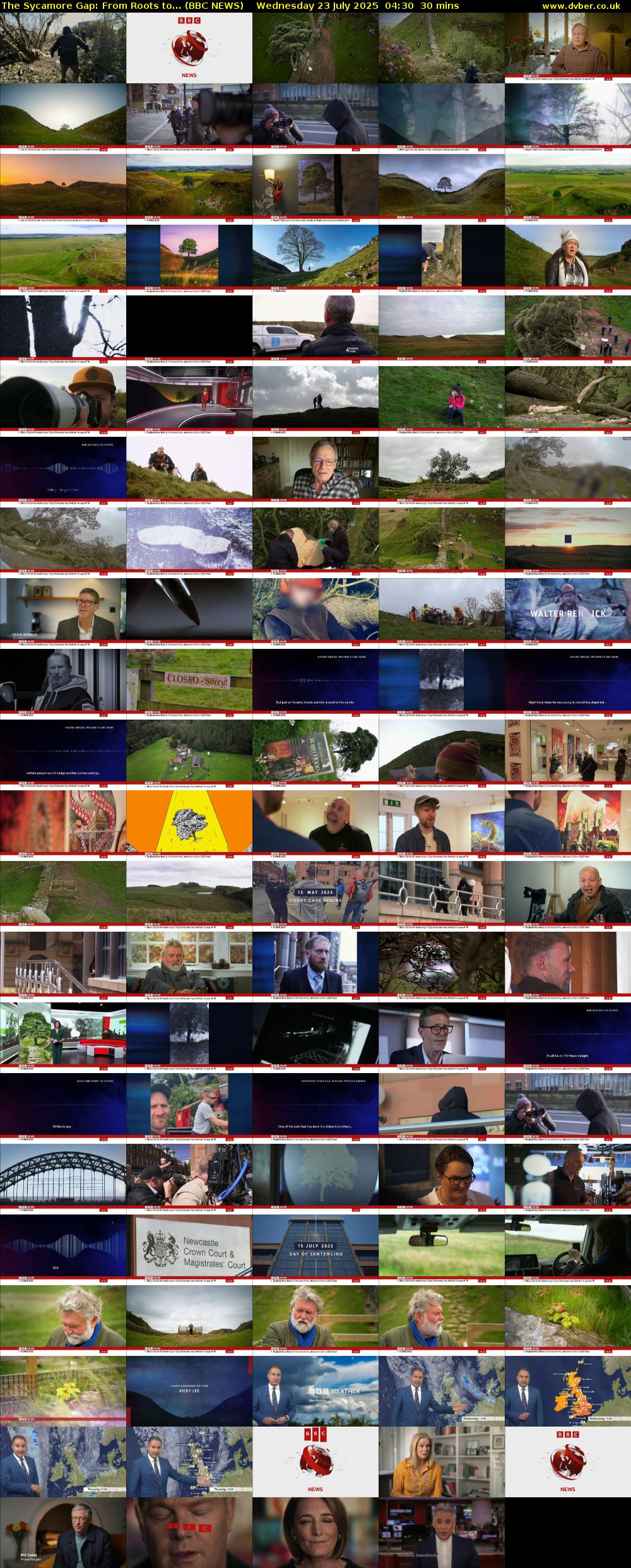 The Sycamore Gap: From Roots to... (BBC NEWS) Wednesday 23 July 2025 04:30 - 05:00
