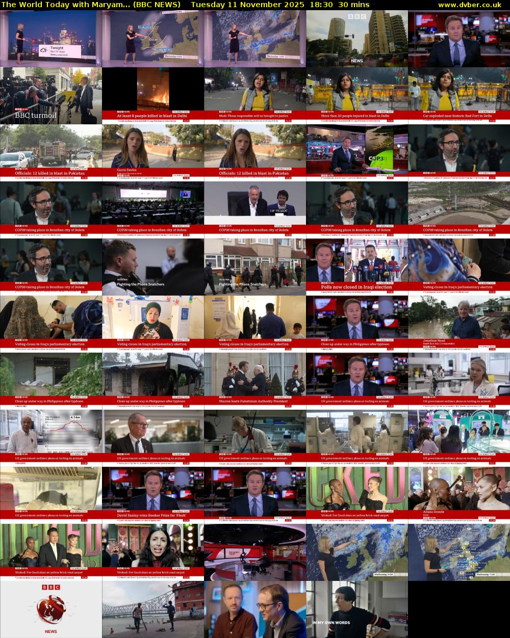 The World Today with Maryam... (BBC NEWS) Tuesday 11 November 2025 18:30 - 19:00