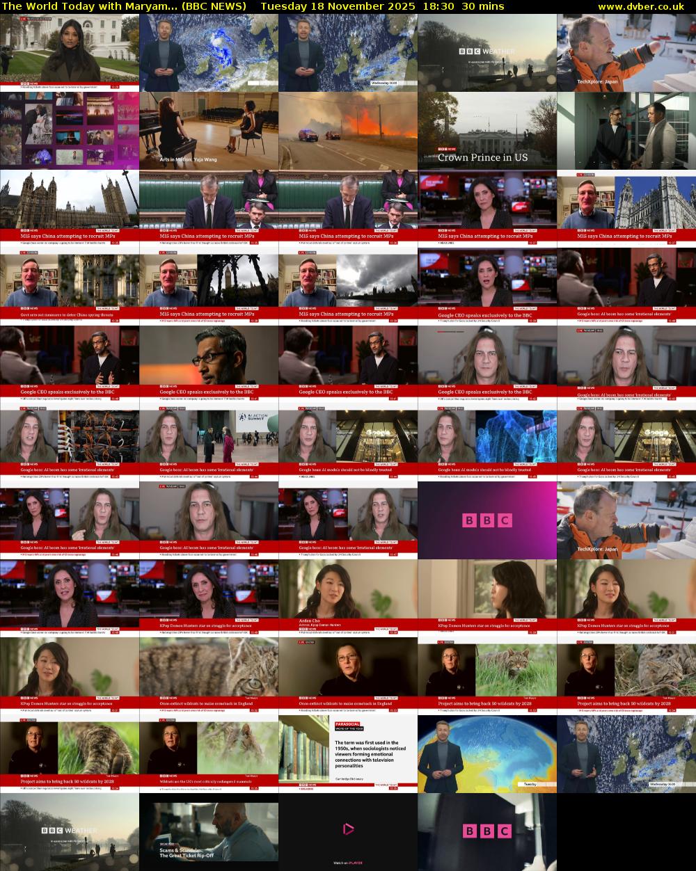 The World Today with Maryam... (BBC NEWS) Tuesday 18 November 2025 18:30 - 19:00