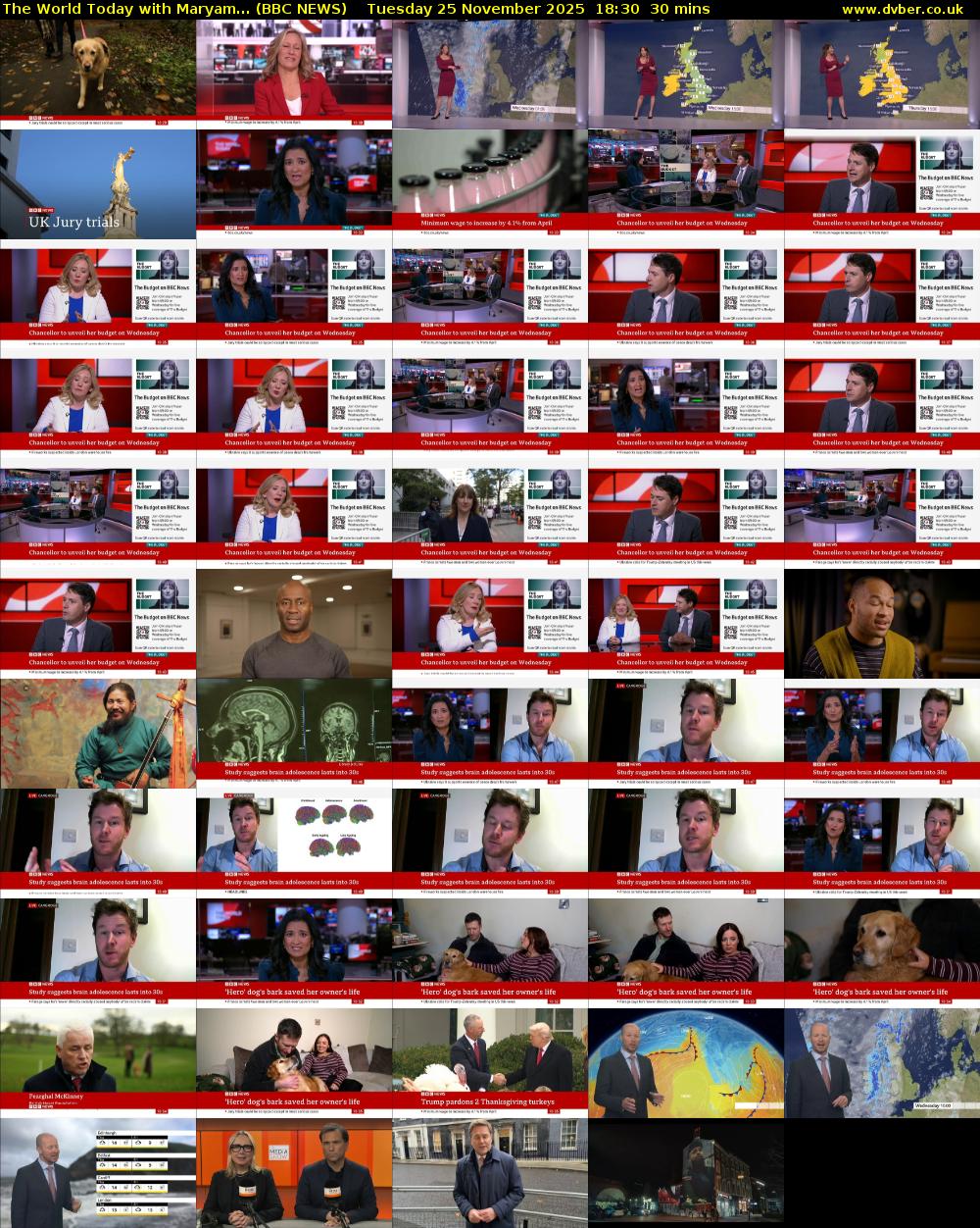 The World Today with Maryam... (BBC NEWS) Tuesday 25 November 2025 18:30 - 19:00