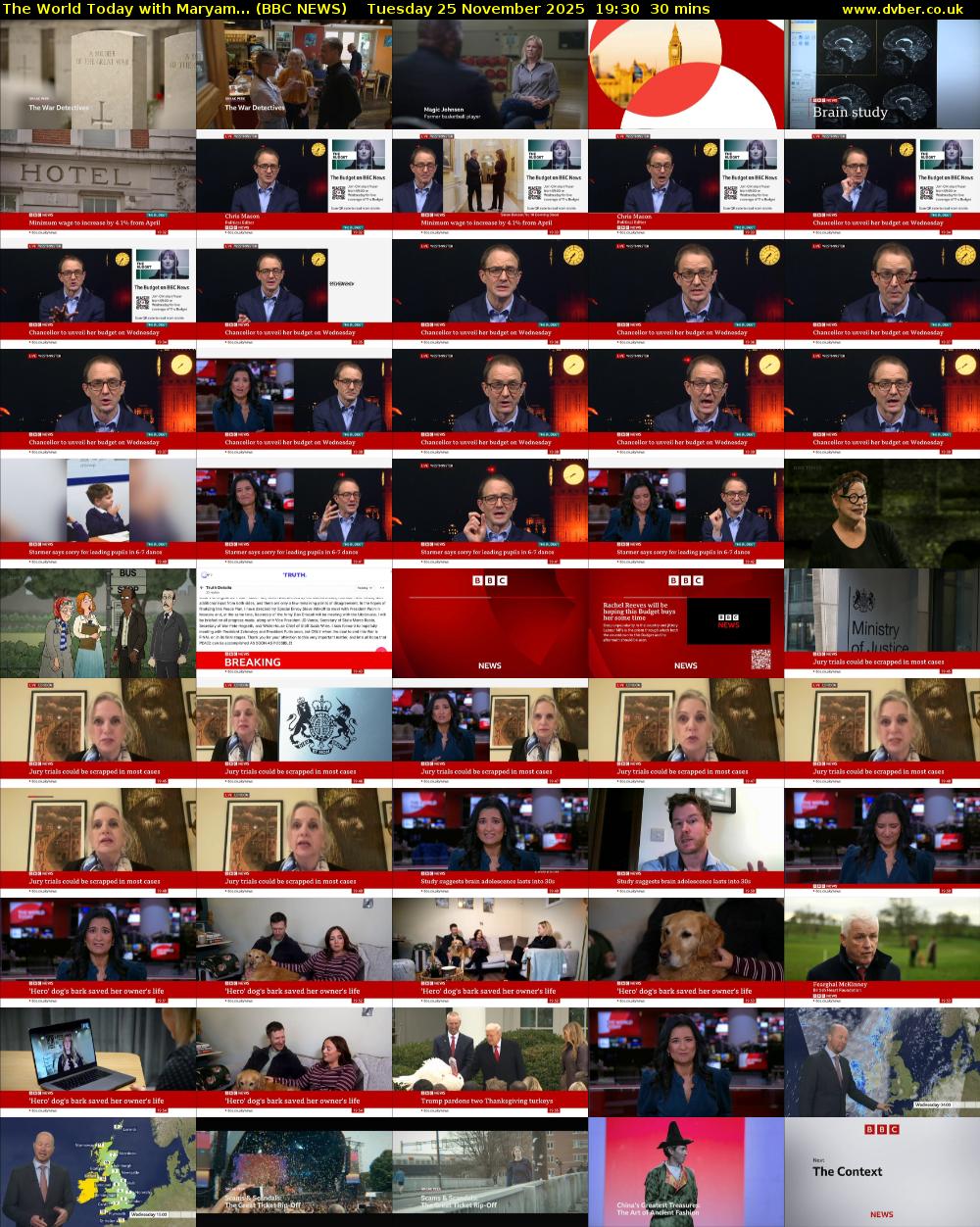 The World Today with Maryam... (BBC NEWS) Tuesday 25 November 2025 19:30 - 20:00