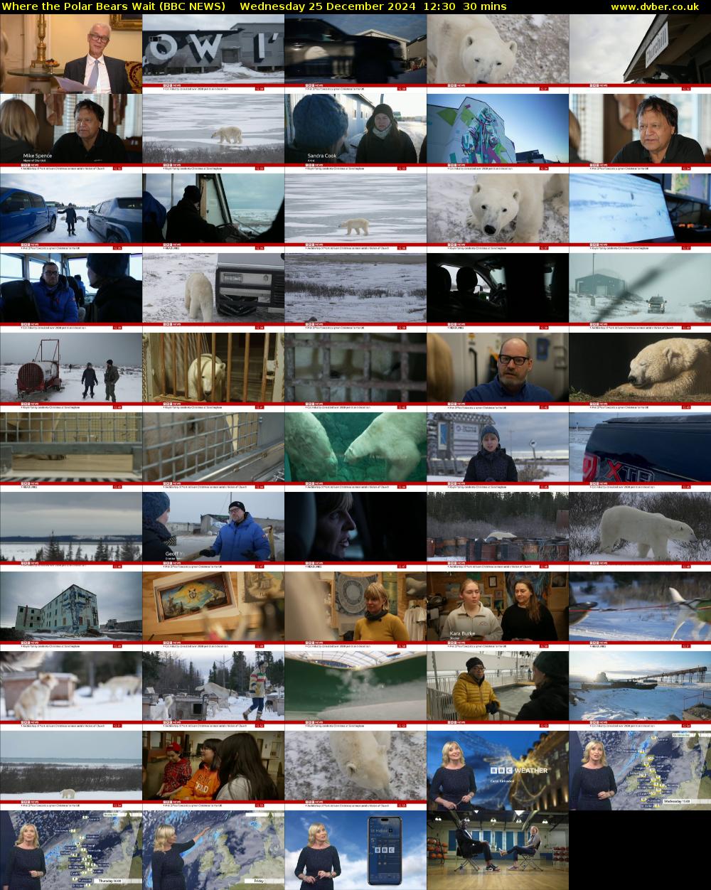 Where the Polar Bears Wait (BBC NEWS) Wednesday 25 December 2024 12:30 - 13:00