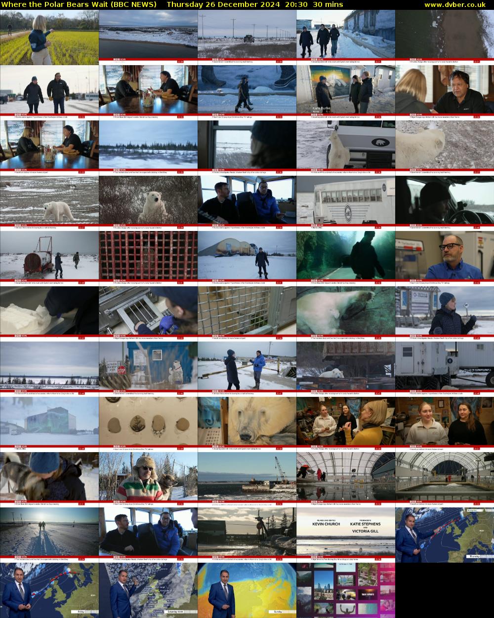 Where the Polar Bears Wait (BBC NEWS) Thursday 26 December 2024 20:30 - 21:00