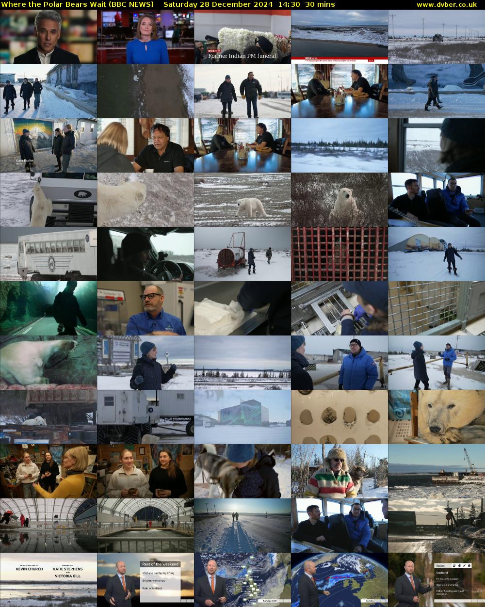 Where the Polar Bears Wait (BBC NEWS) Saturday 28 December 2024 14:30 - 15:00
