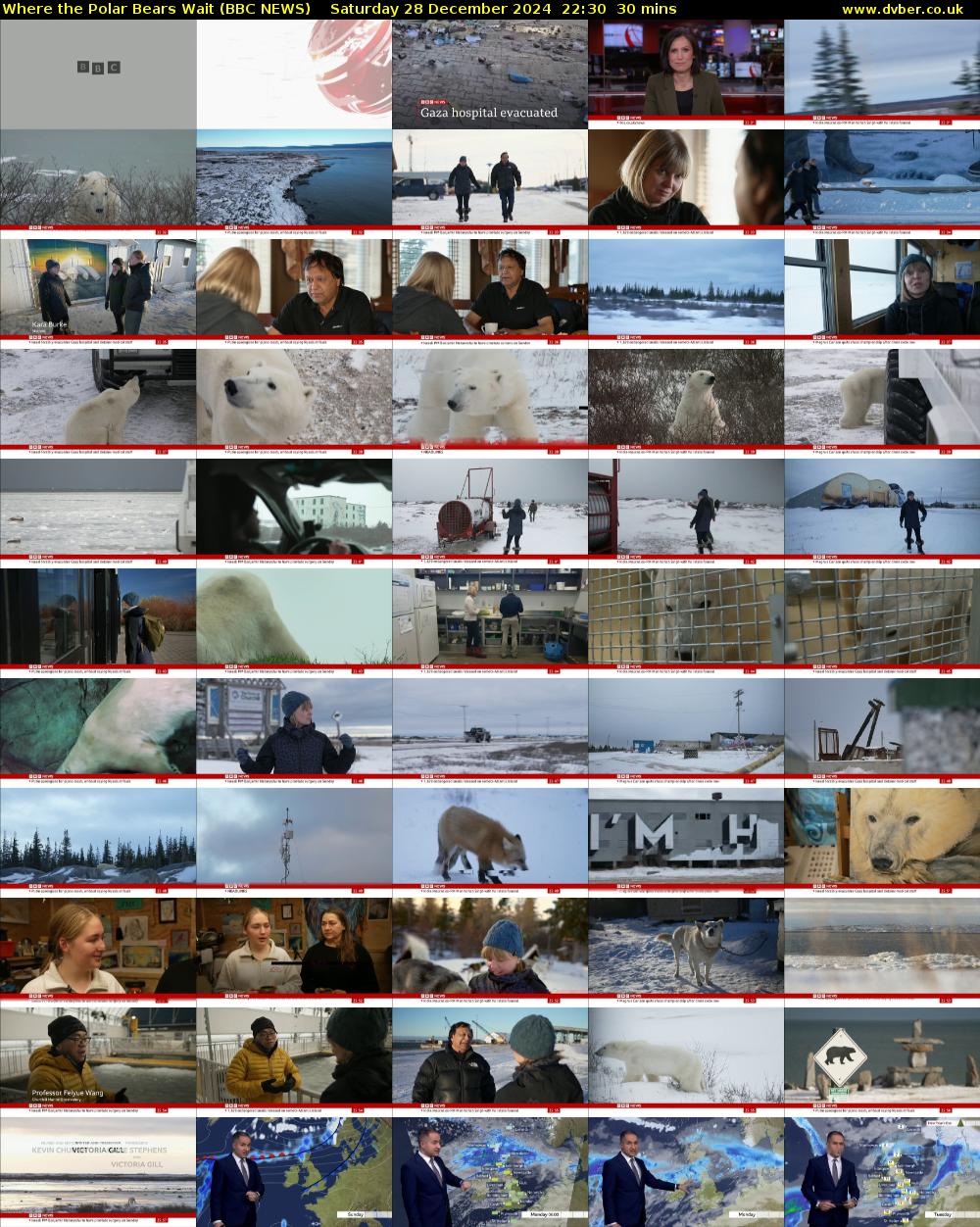 Where the Polar Bears Wait (BBC NEWS) Saturday 28 December 2024 22:30 - 23:00
