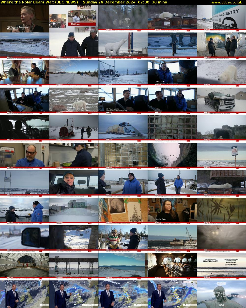 Where the Polar Bears Wait (BBC NEWS) Sunday 29 December 2024 02:30 - 03:00