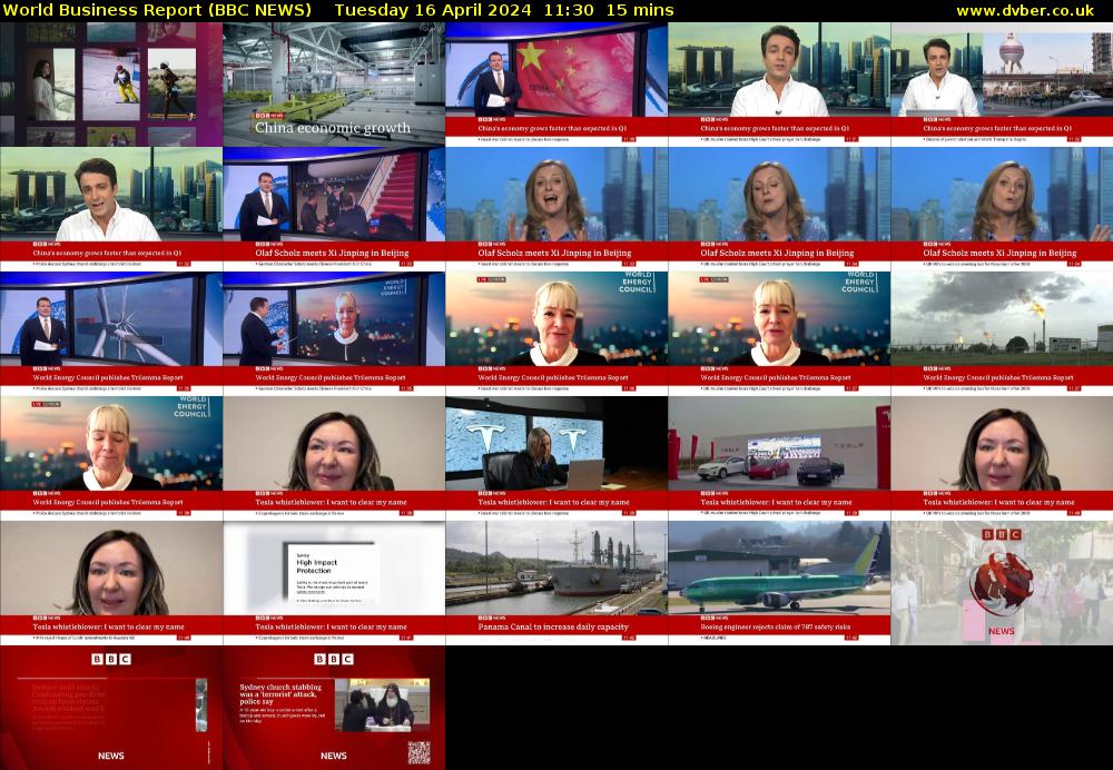 World Business Report (BBC NEWS) Tuesday 16 April 2024 11:30 - 11:45