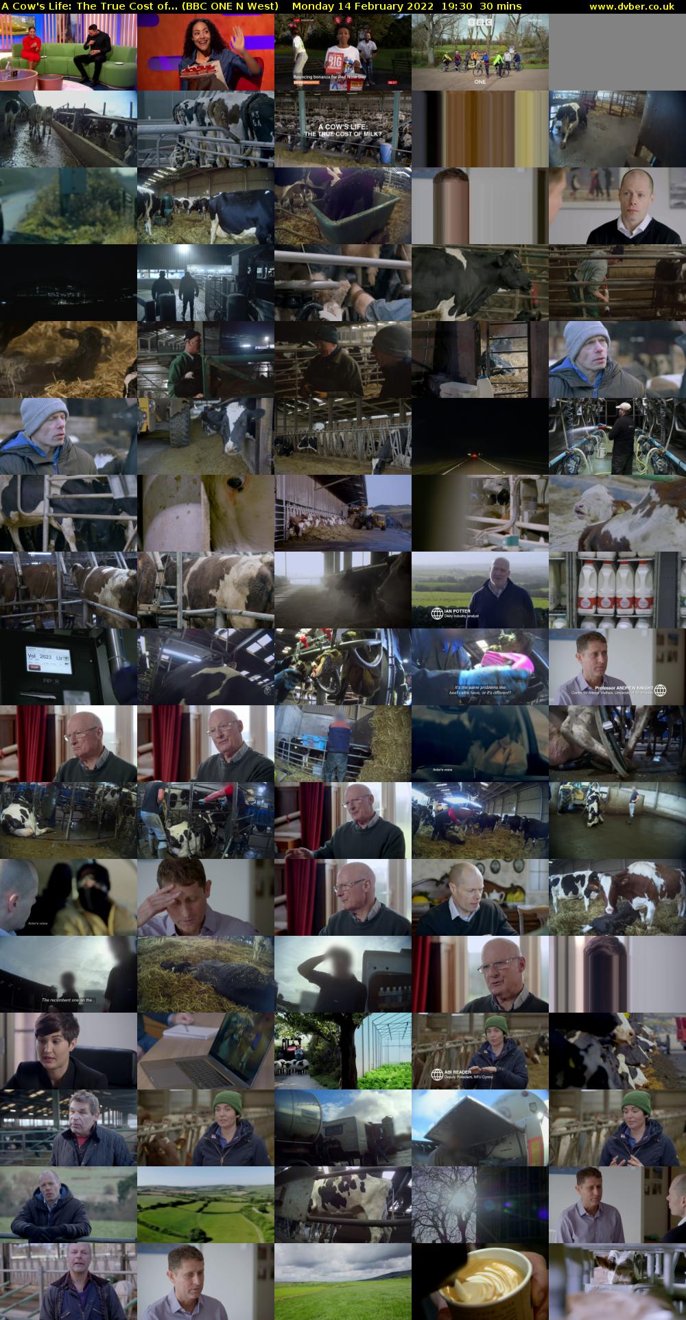 A Cow's Life: The True Cost of... (BBC ONE N West) Monday 14 February 2022 19:30 - 20:00