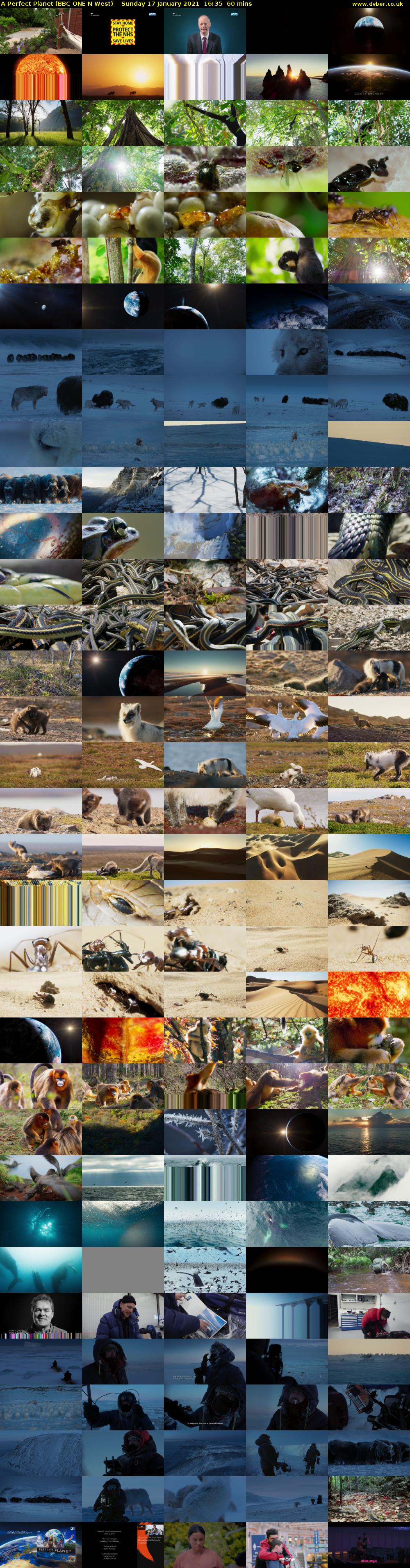 A Perfect Planet (BBC ONE N West) Sunday 17 January 2021 16:35 - 17:35